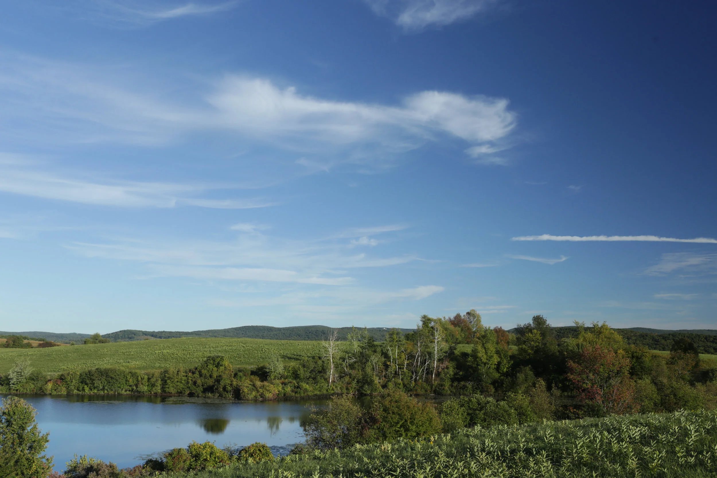 001_ooms_pond.jpg