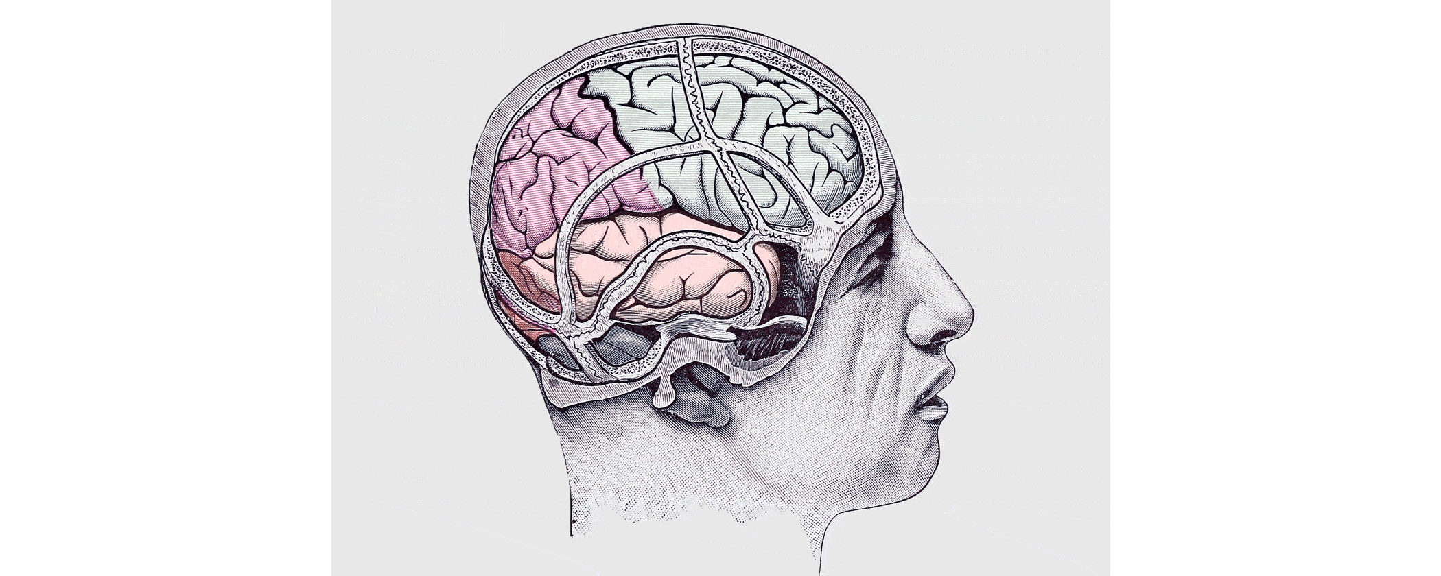 Discovery through Participatory Design In partnership with a leading epilepsy industry collaborator, Partners Connected Health set out to address the top issues affecting the epilepsy community. An advisory panel involving a patient, a doctor and