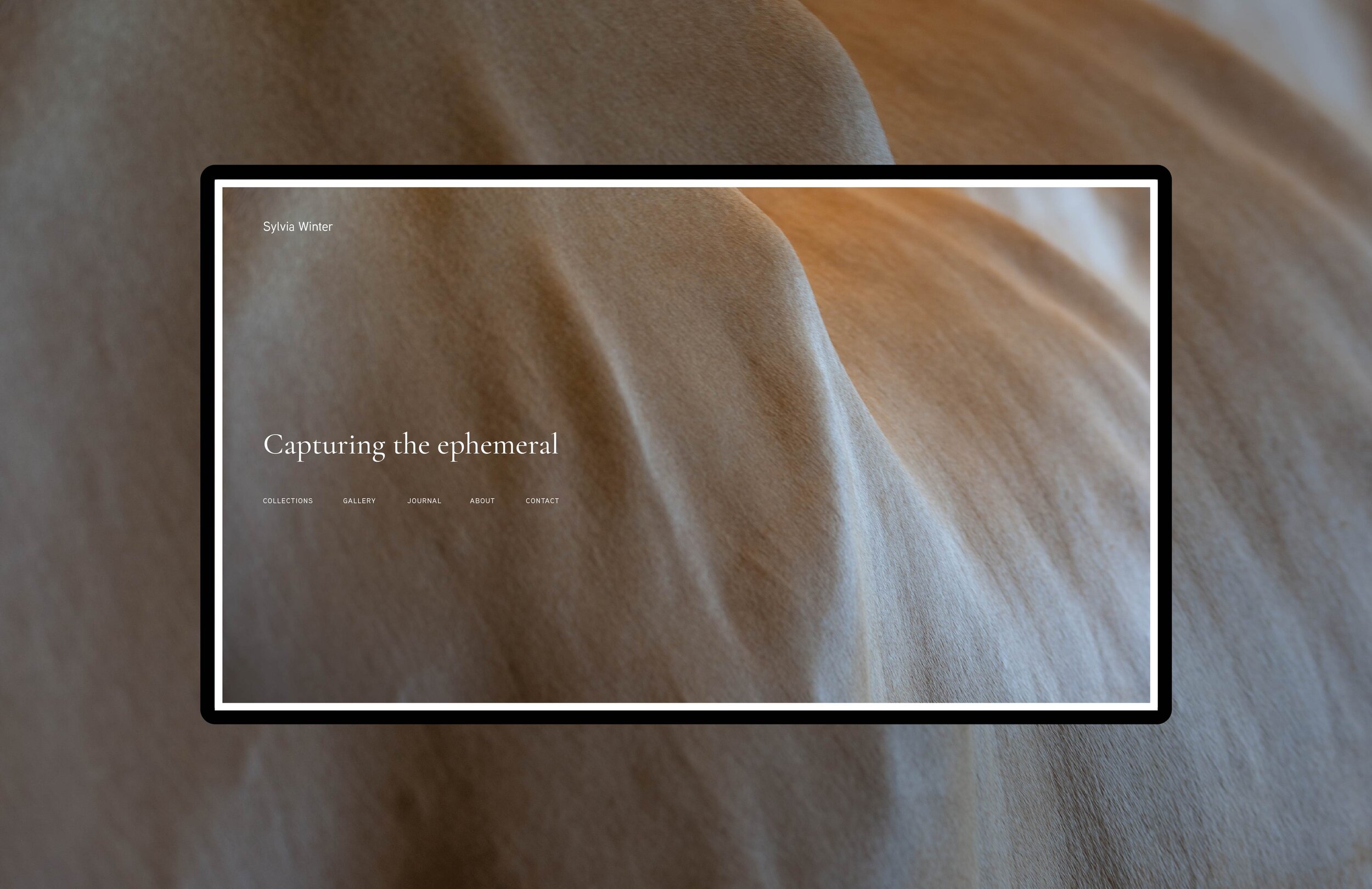 The ask: Create an experience that reflects and celebrates the character of the work