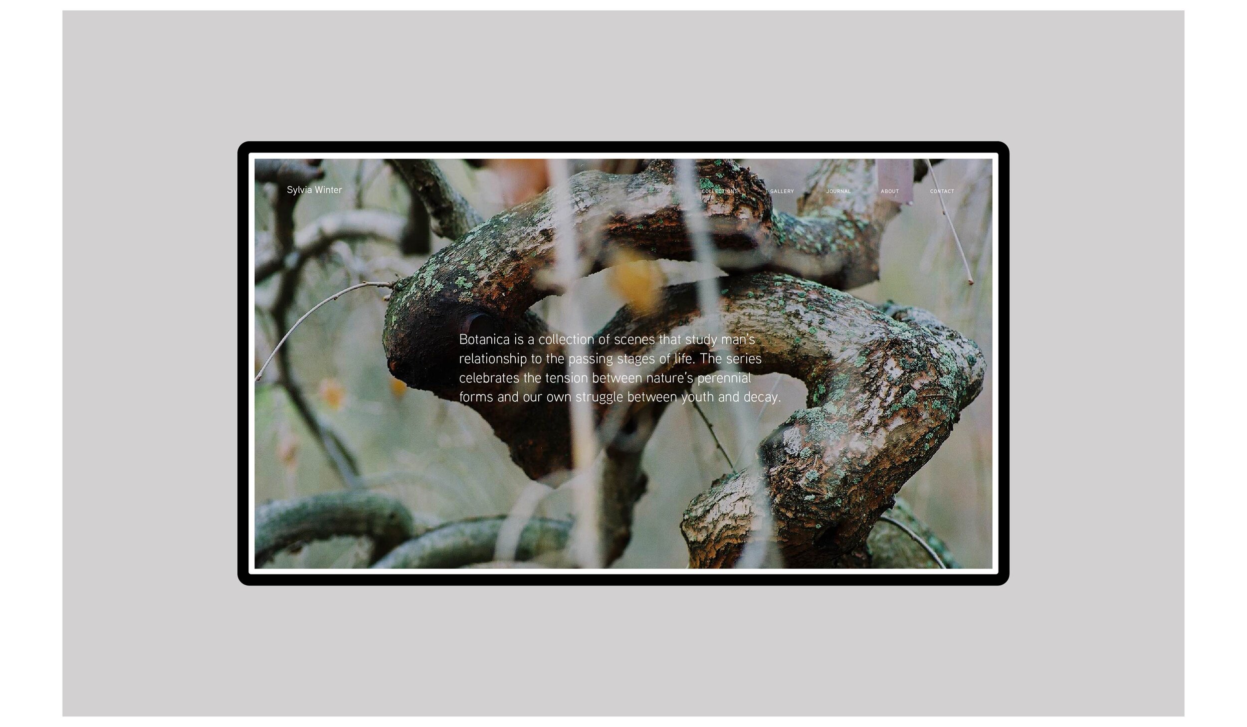 SW_Botanica Fold-03.jpg