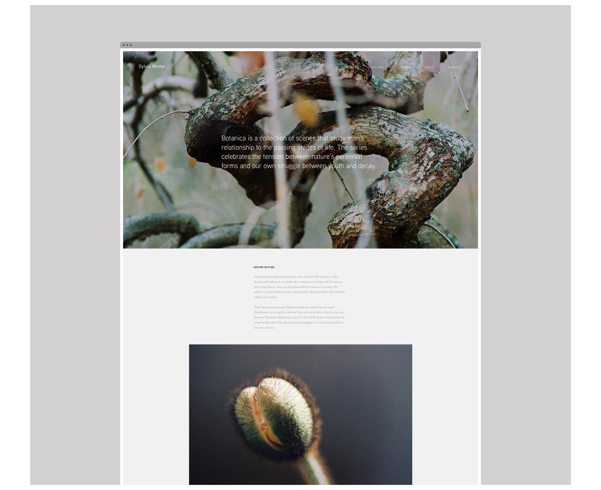 SW_Botanica Project.jpg