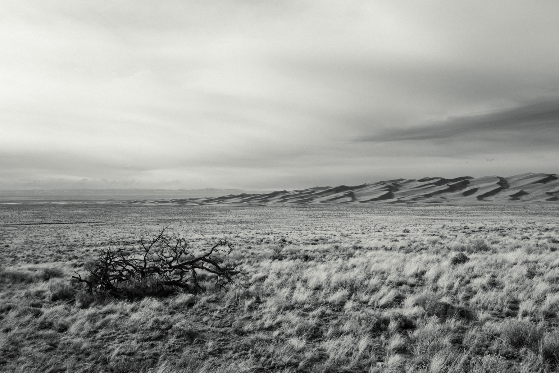 greatsanddunes_lo_res-4.jpg