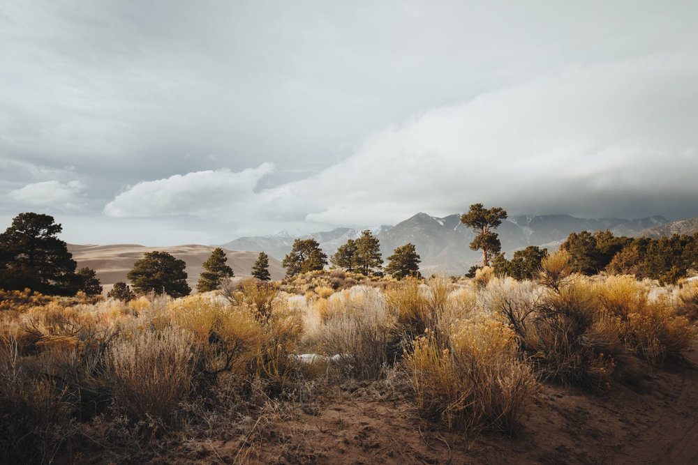 greatsanddunes_lo_res-12.jpg