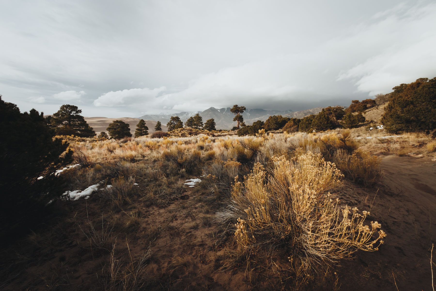 greatsanddunes_lo_res-13.jpg