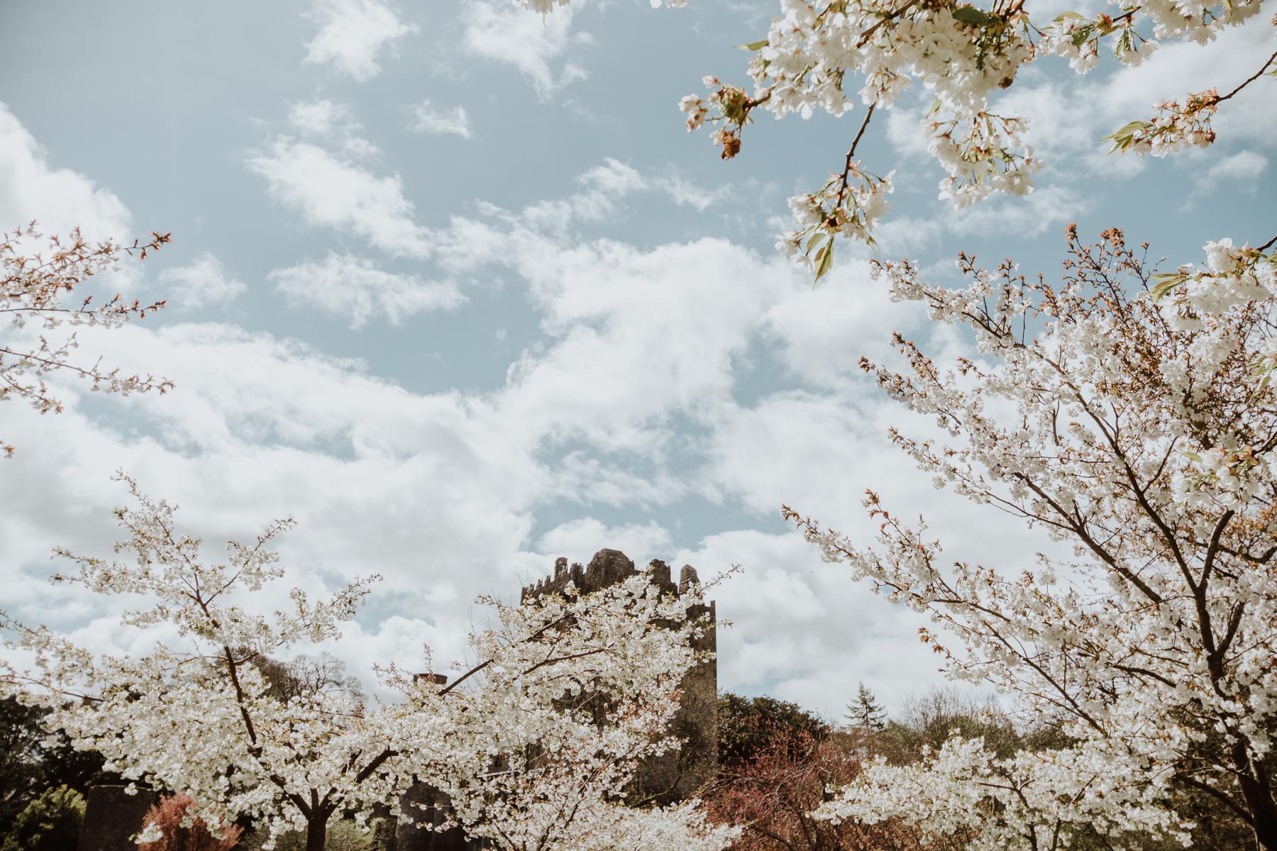 Blarney Castle, Co. Cork