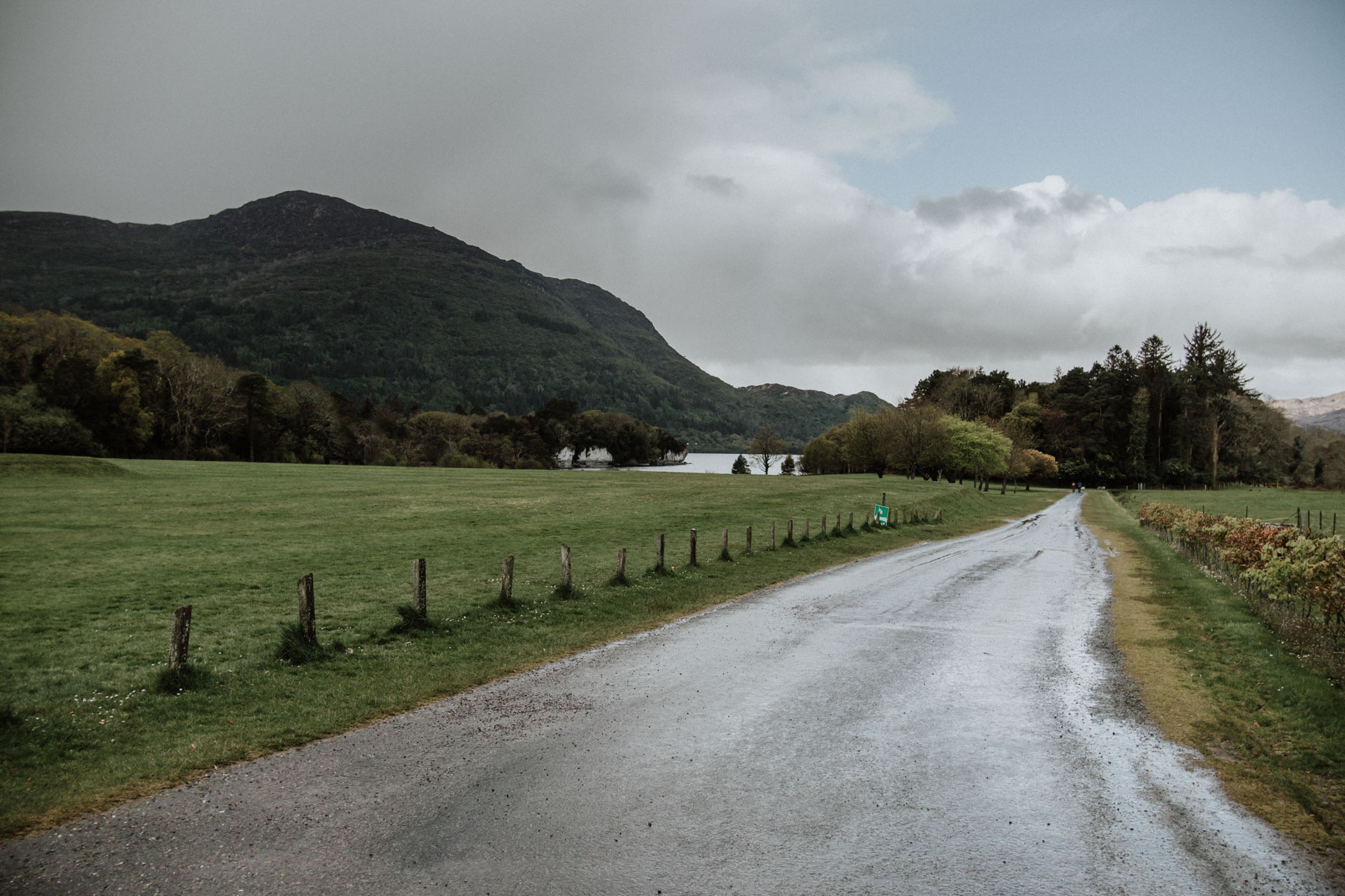 Muckross House, Co. Kerry