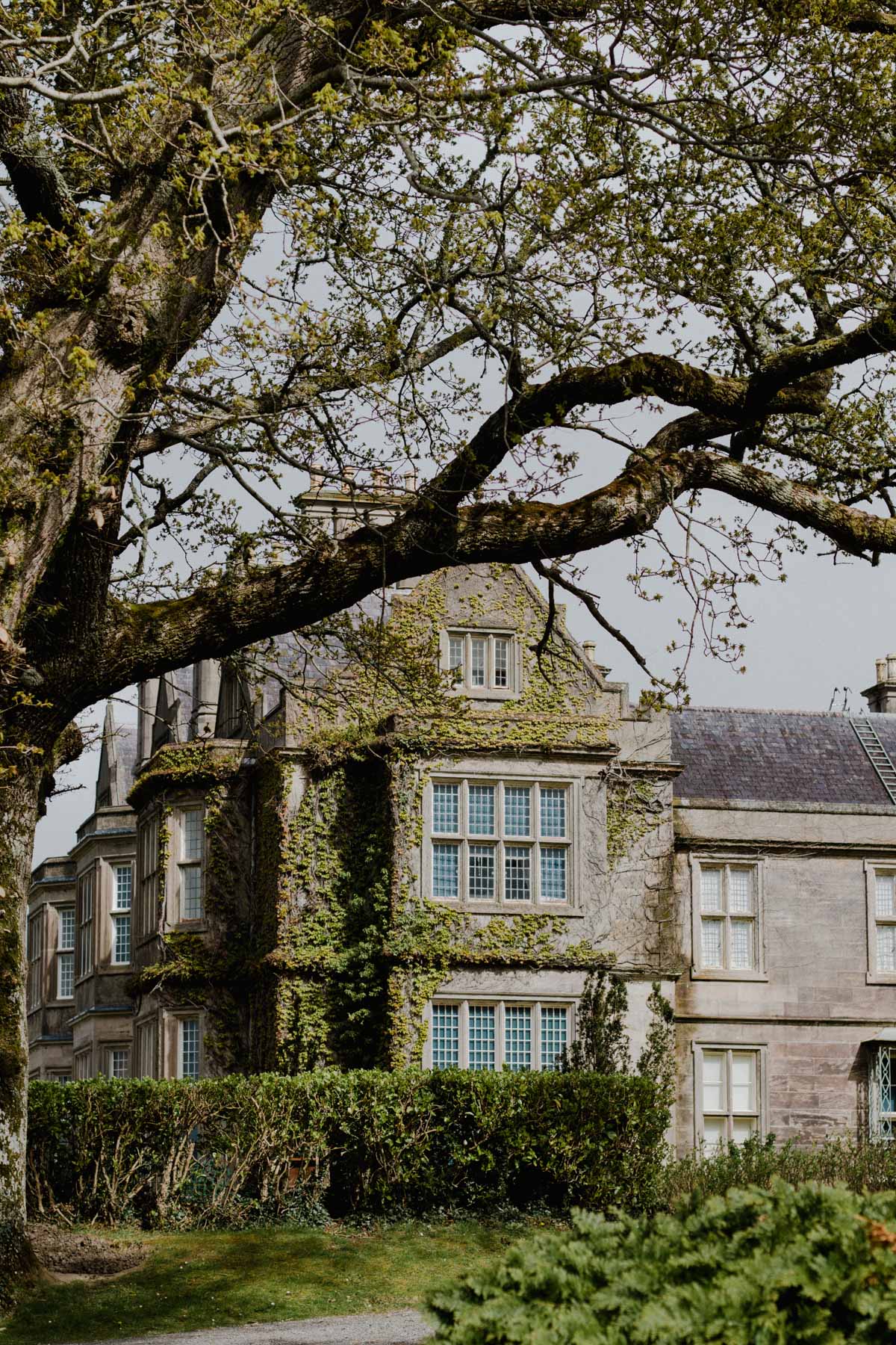 Muckross House, Co. Kerry