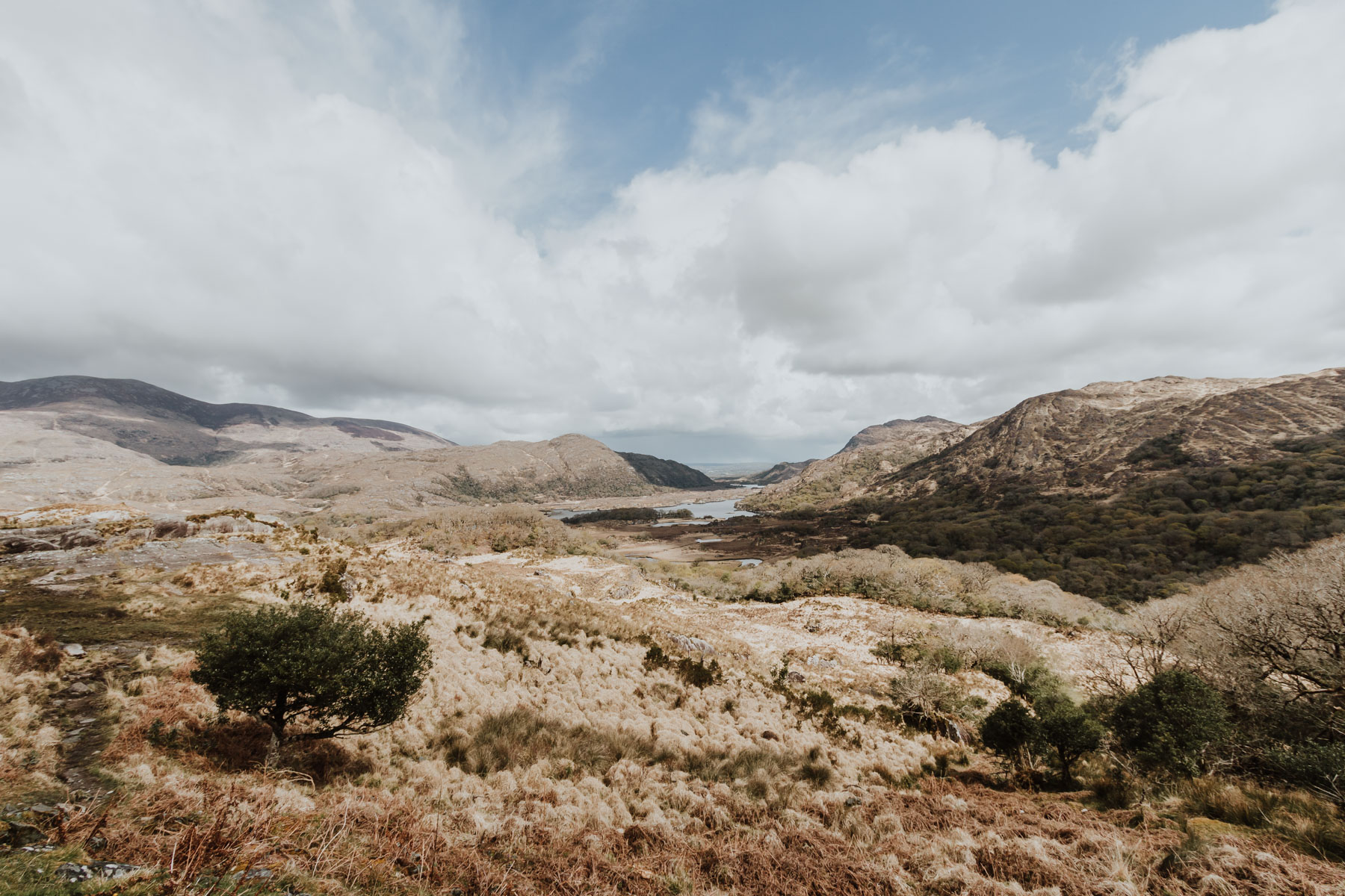 Ladies View on the Ring of Kerry