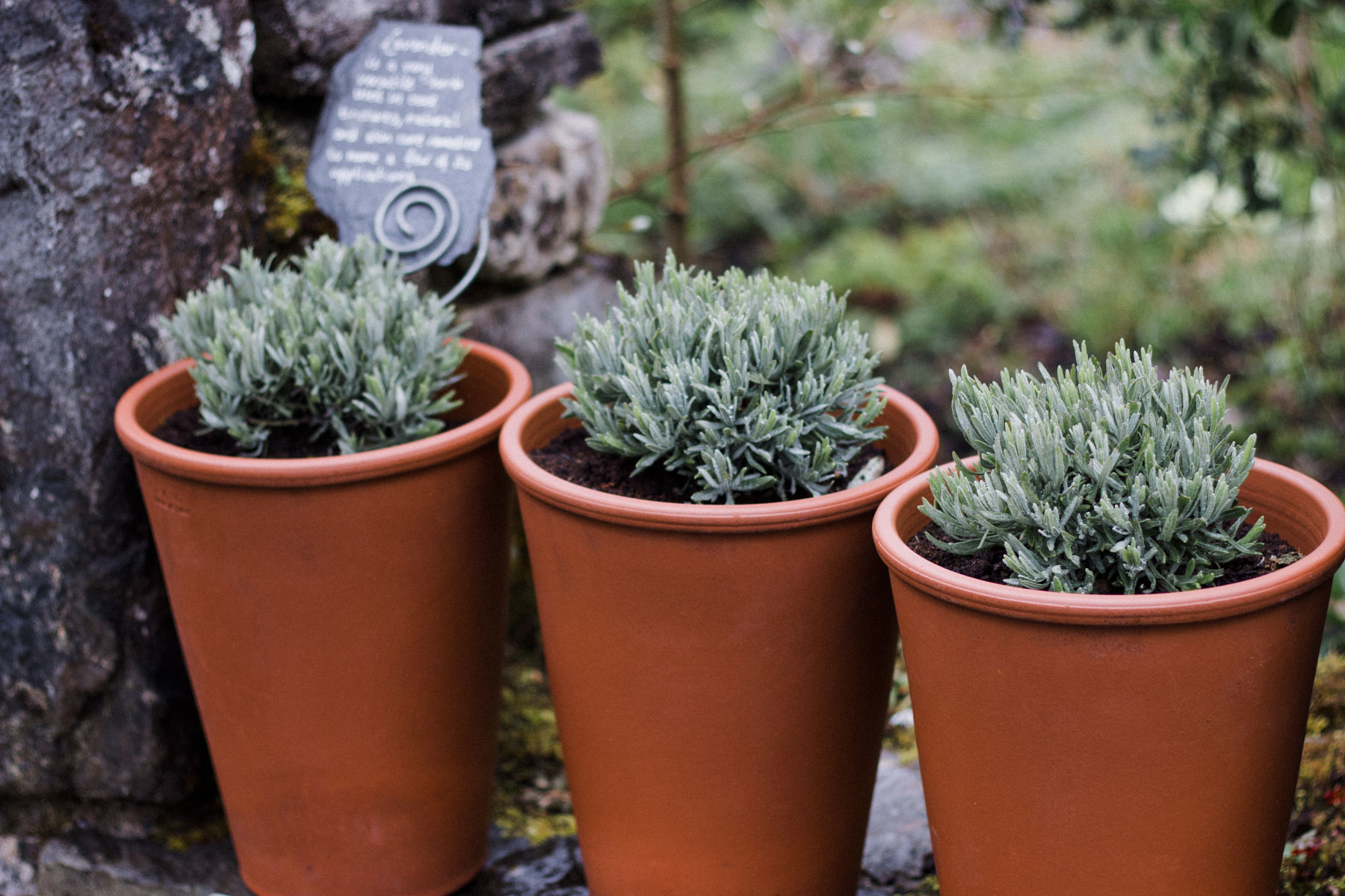 Burren Perfumery, Co. Clare