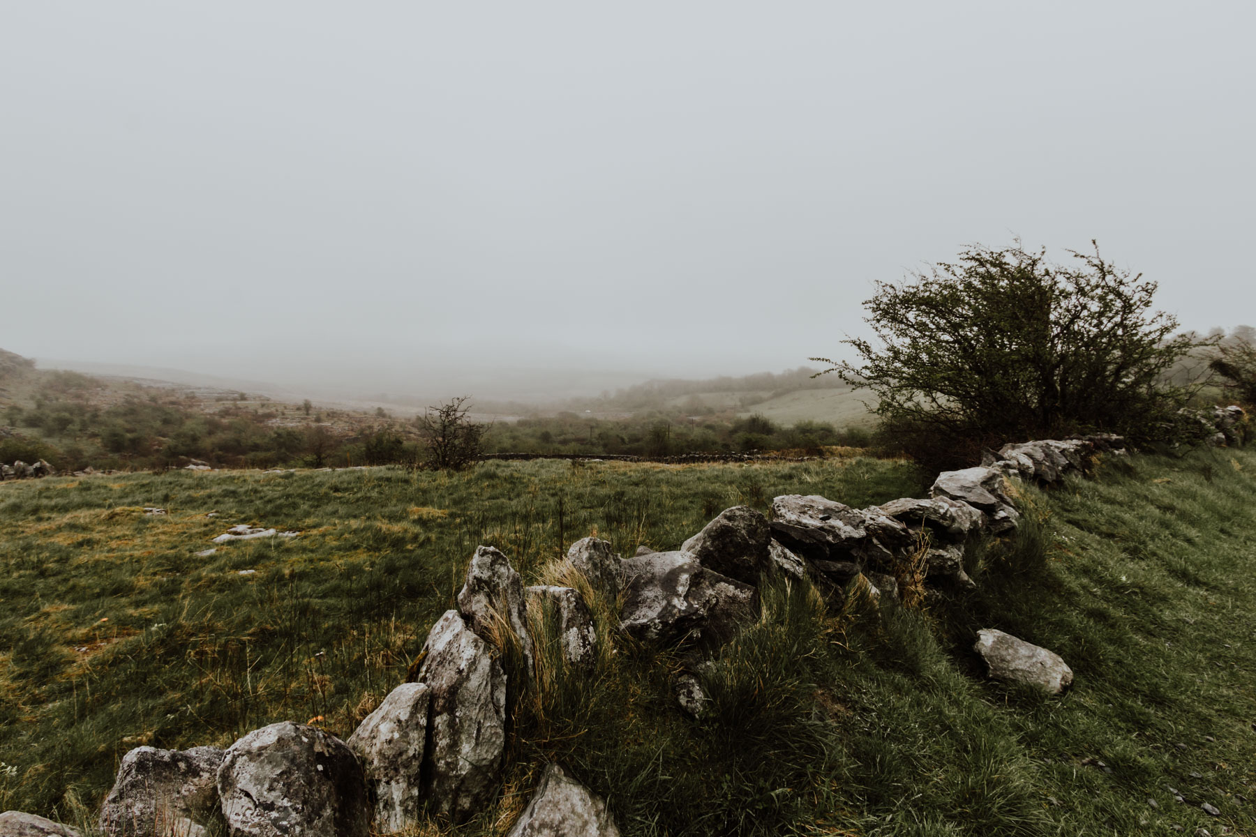 The Burren, Co. Clare