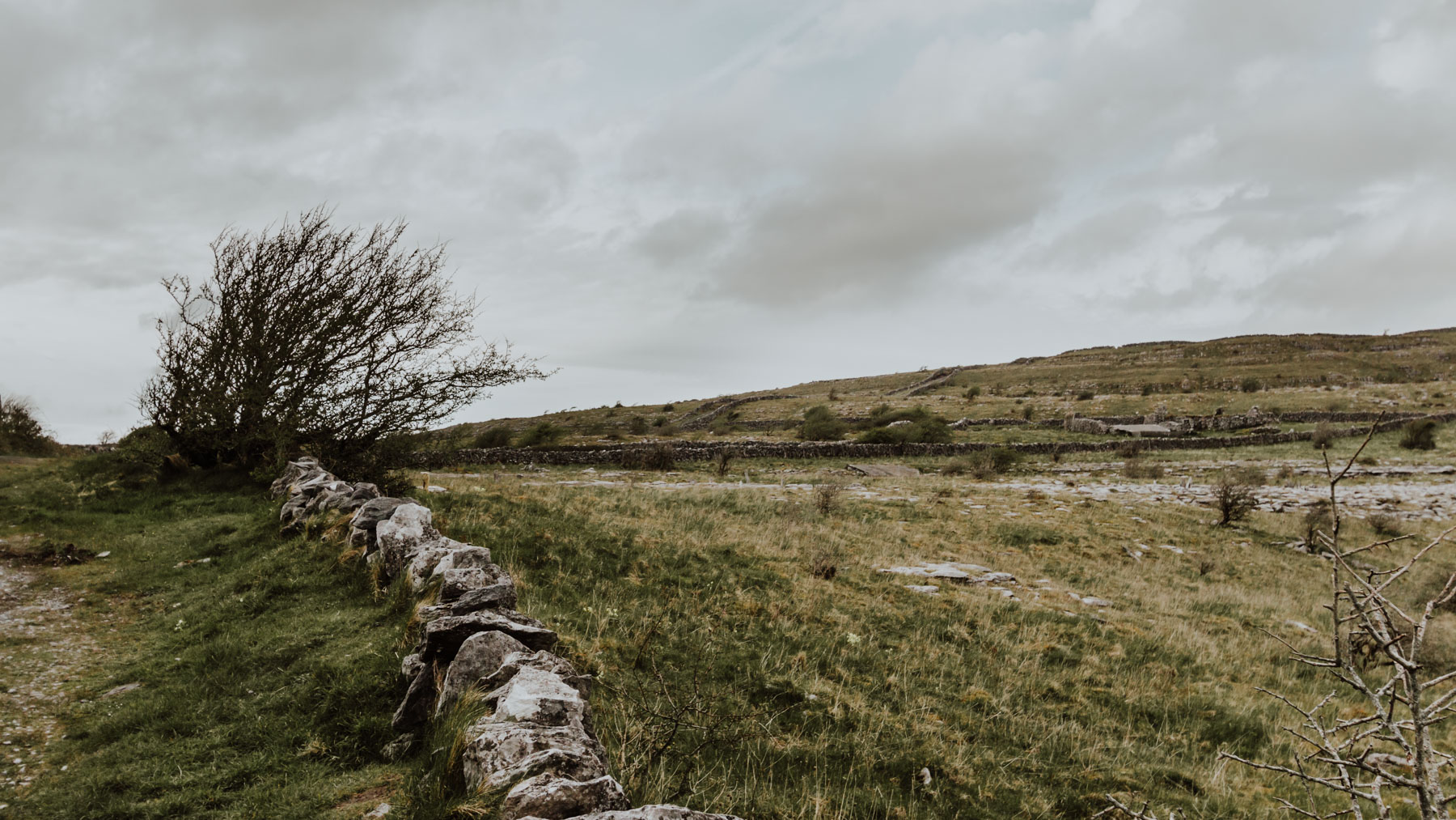 The Burren, Co. Clare