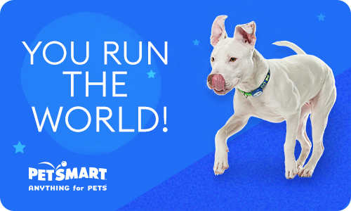 CRM-1628700-FY23_eGiftCard_Dog-RunWorld.png