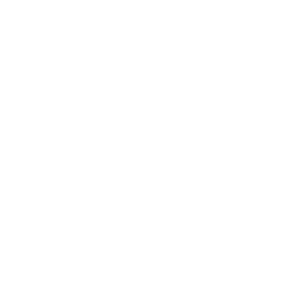 BPD_logo_knockout-14-14.png