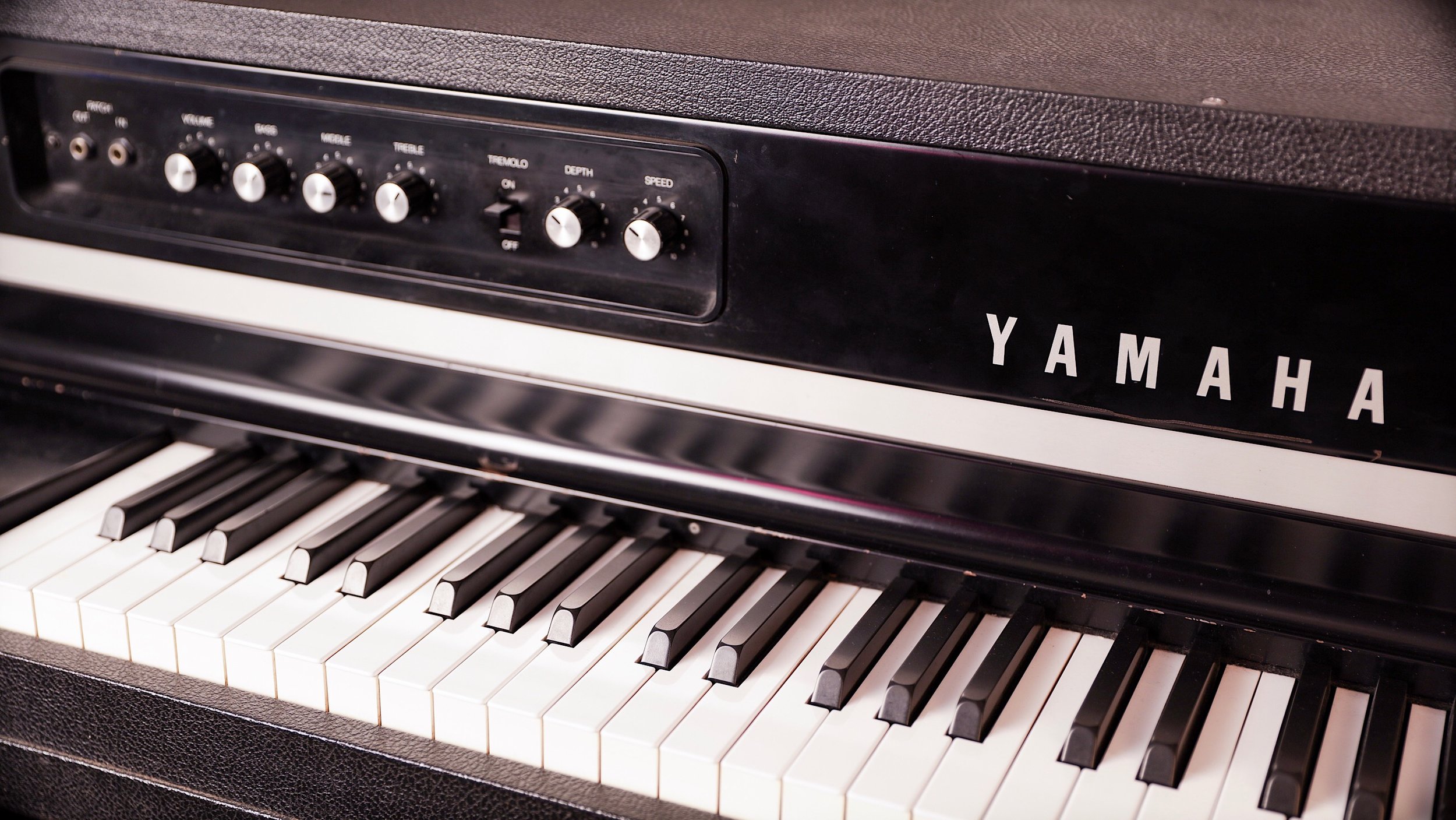 Yamaha CS80, Minimoog Voyager XL, Mellotron M4000D & more. Endorsed by Moog Music.