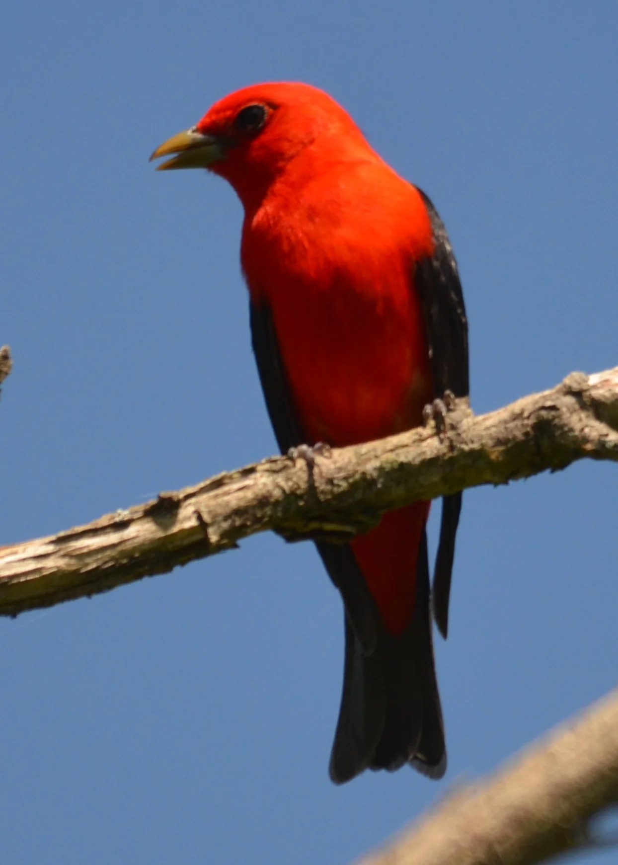 DSC_0158.JPG