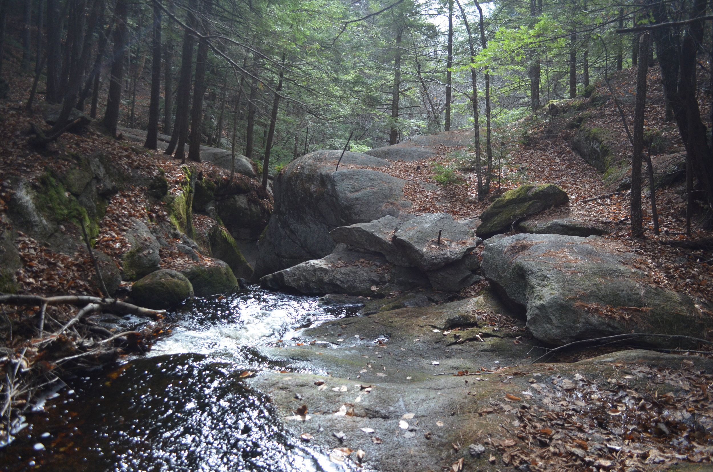 View of top of upper falls from flat section of brook.JPG