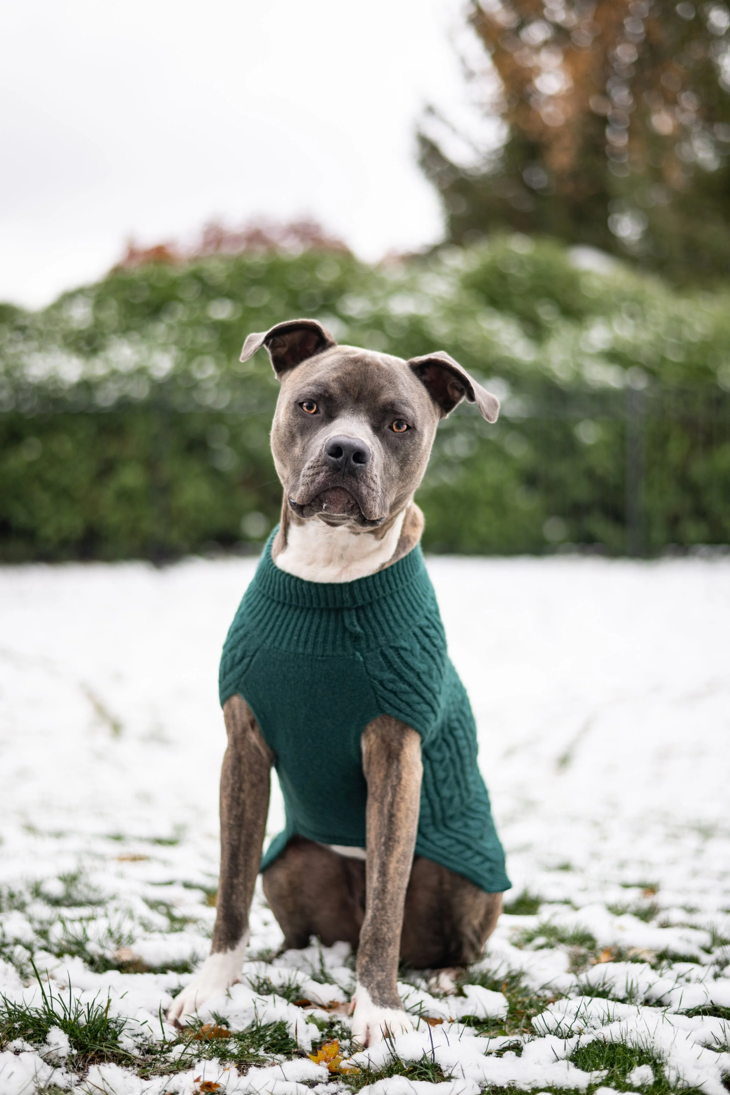 AlexisNicholsPhotography-0001 4.jpg