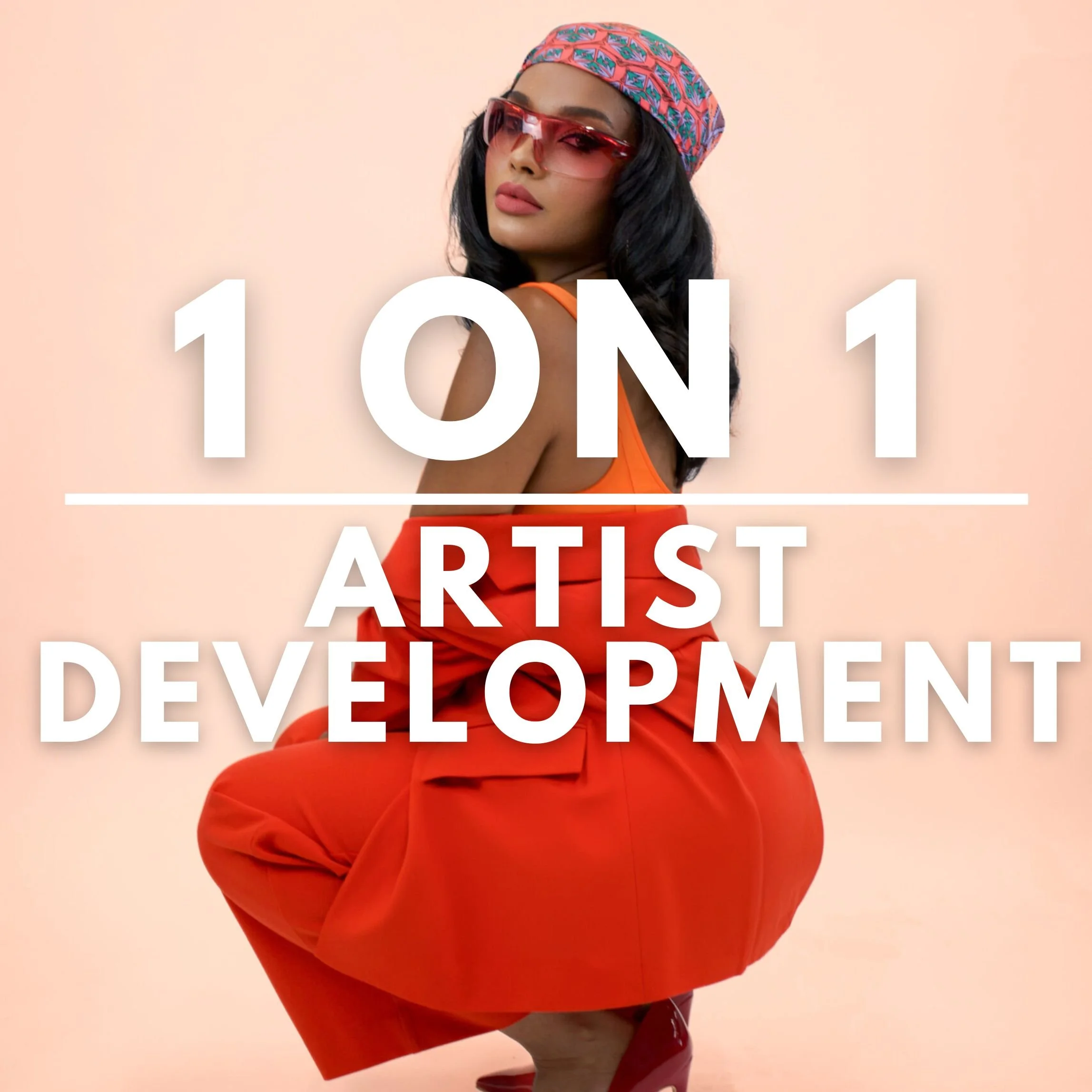 1 on 1 Artist Development (New Service)