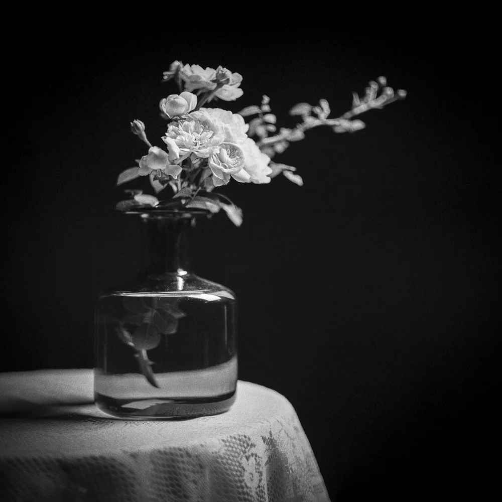 roses