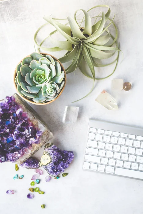 Crystal_Succulent_Home-106.jpg