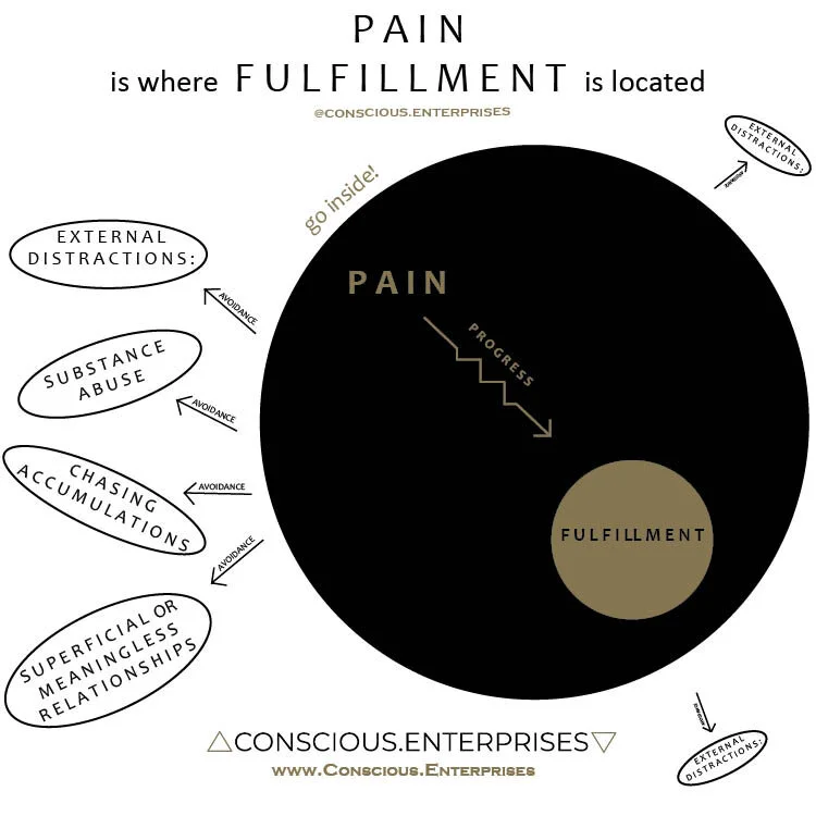 PAIN  &amp;  FULFILLMENT
