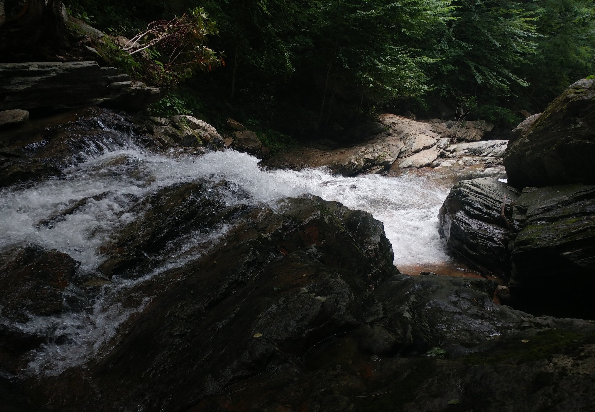 cups2river.jpg