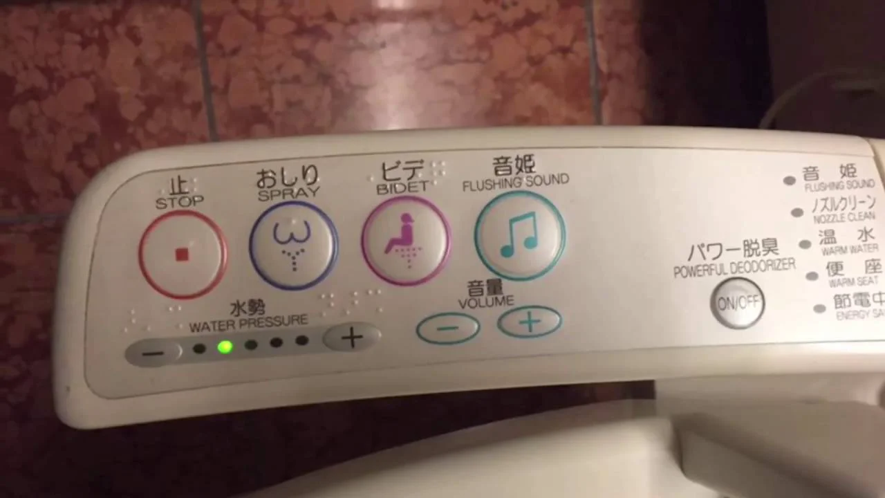 Japanese toilet have many function from adjust water pressure to dry service even flushing sound and also effective for disability people