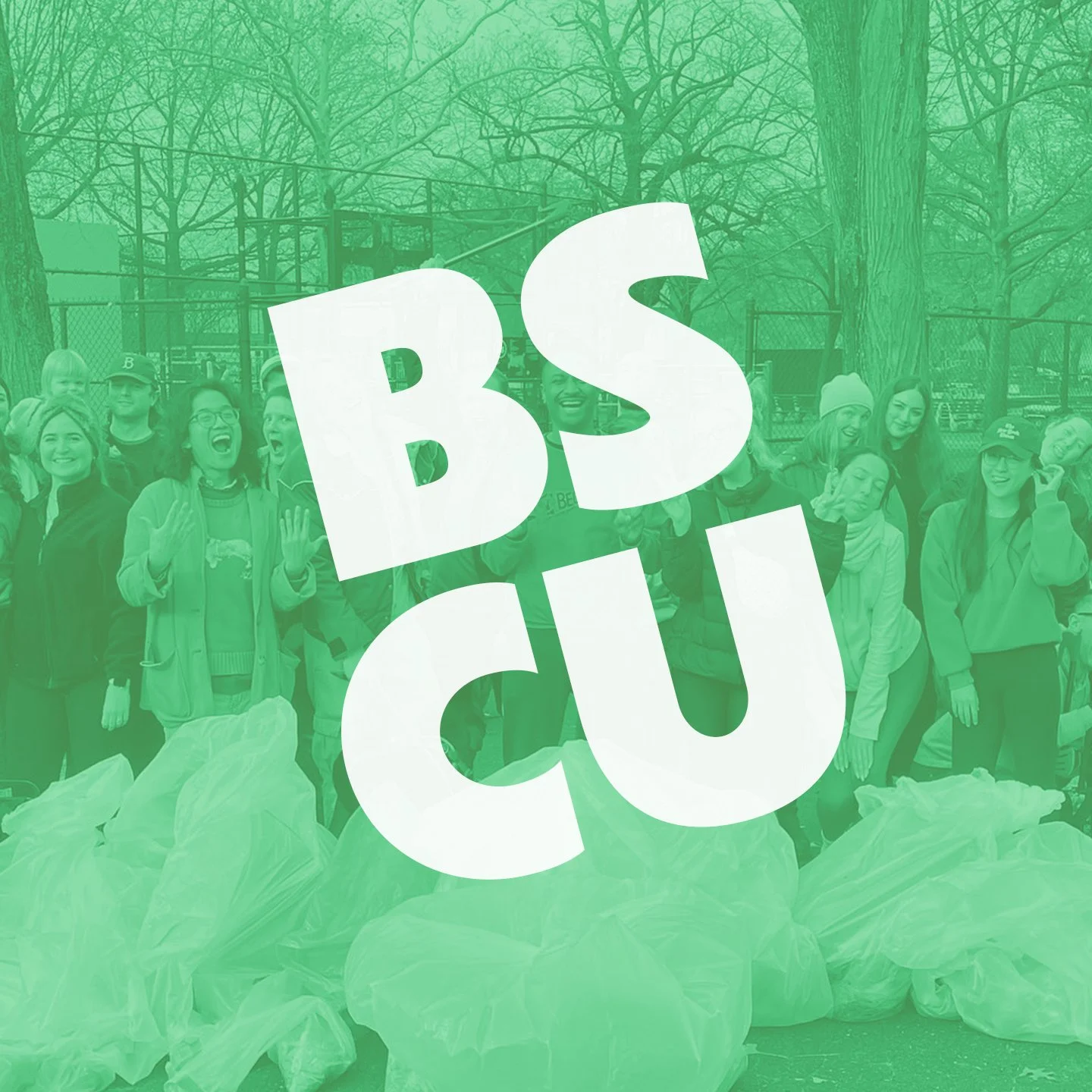 BSCU TILE.jpg