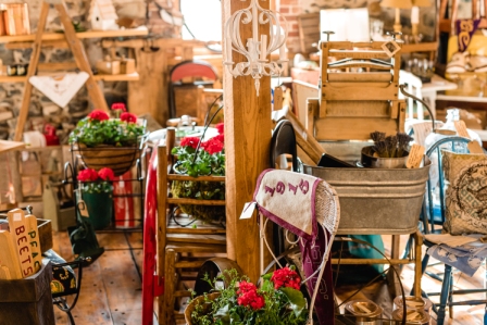 Upcountry Vintage 2019 136.jpg