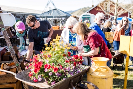 Upcountry Vintage 2019 206.jpg