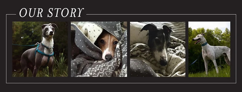 our-story-v2.jpg