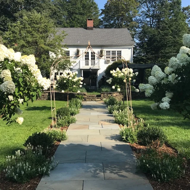 Copy of garden.jpg