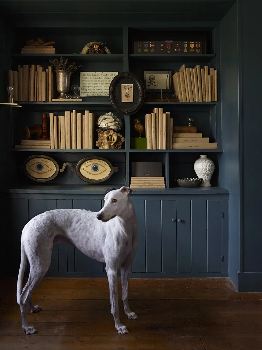 Bookshelf2.jpg