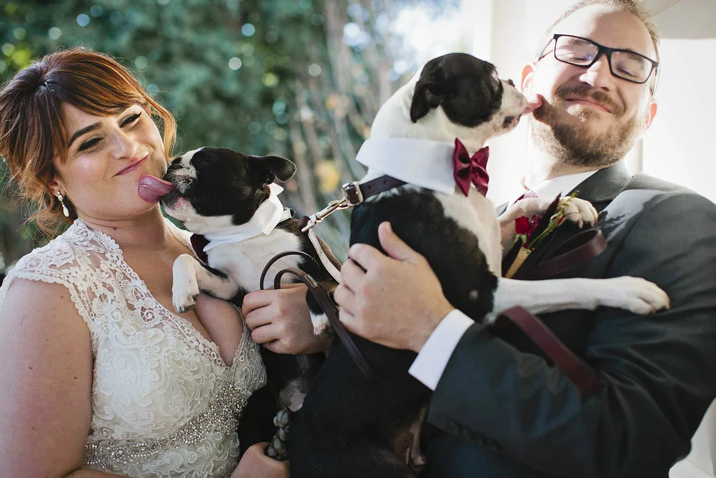www.alisonyinweddings.com