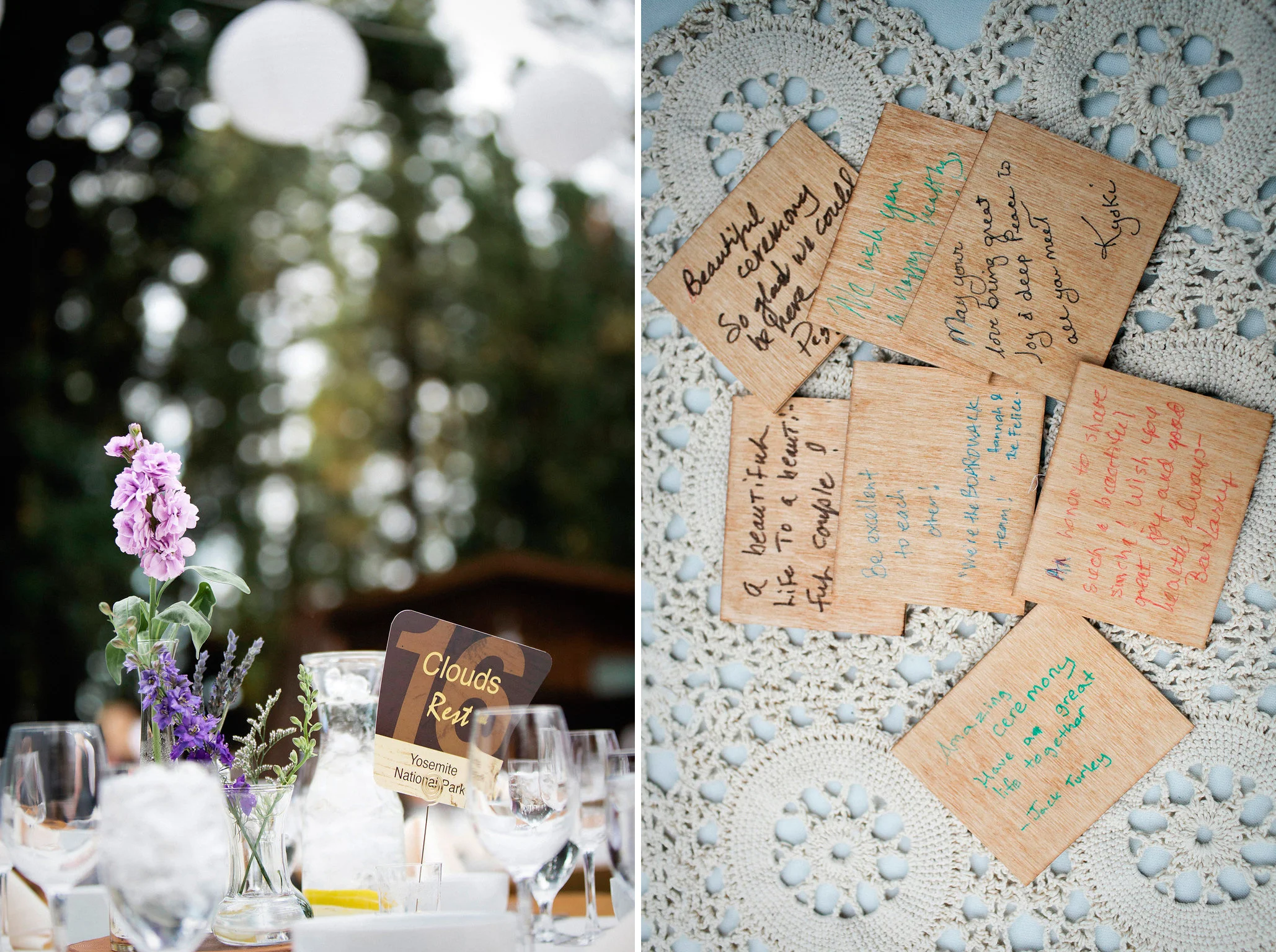 65rosen_wed_0609dip-2.jpg