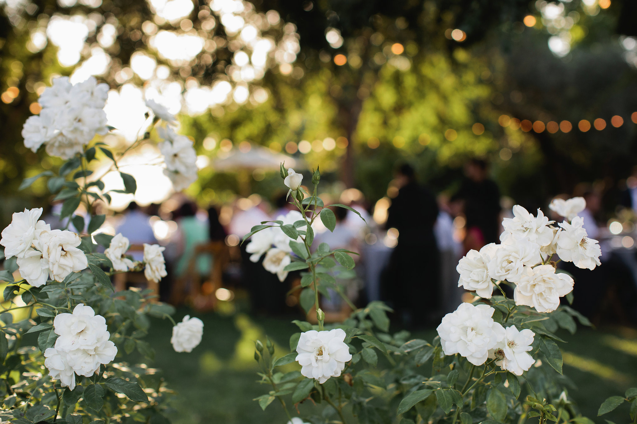 Healdsburg-Summer-Wedding-62.JPG