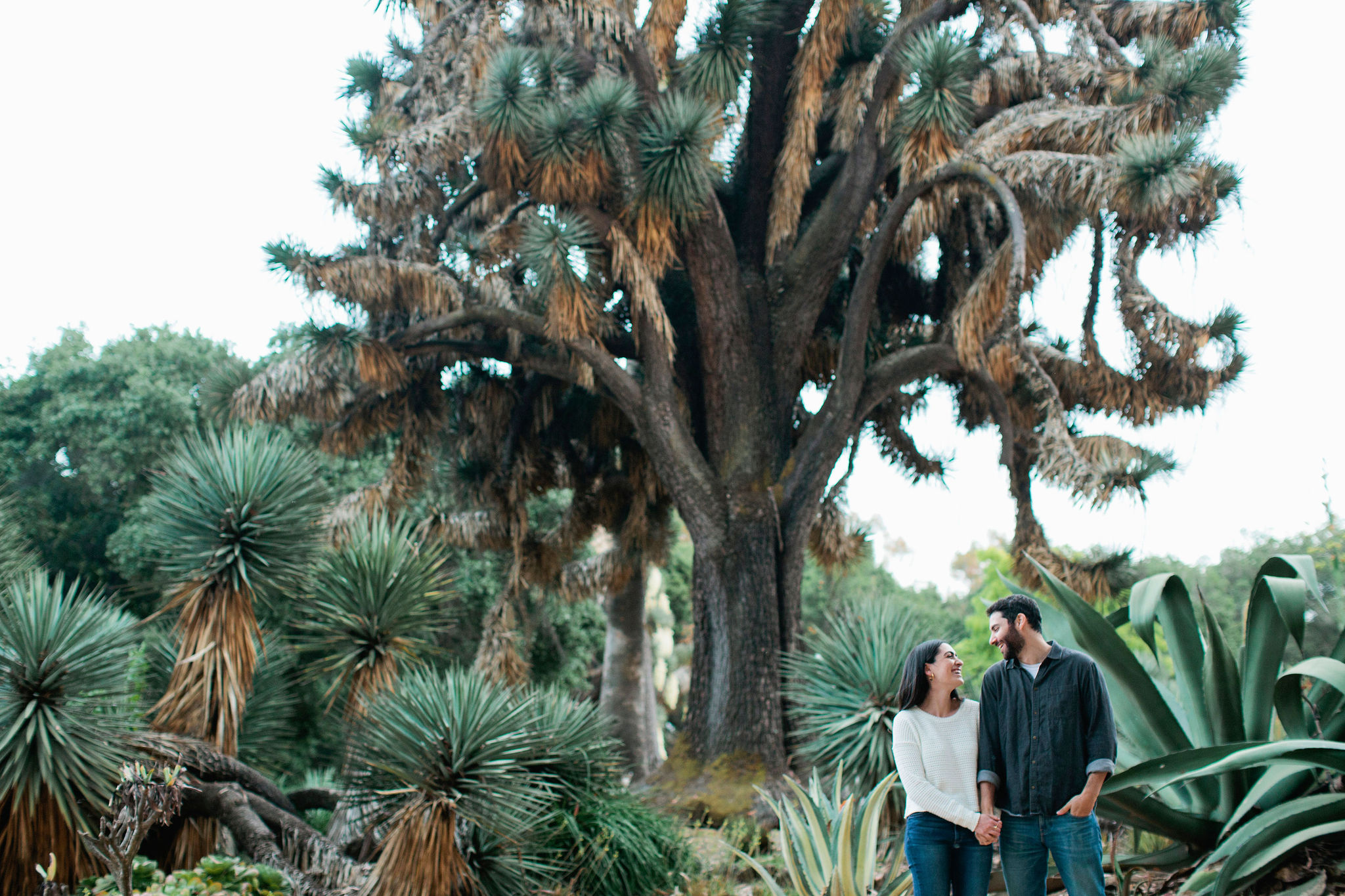 Stanford-Engagement-Photo-06.JPG