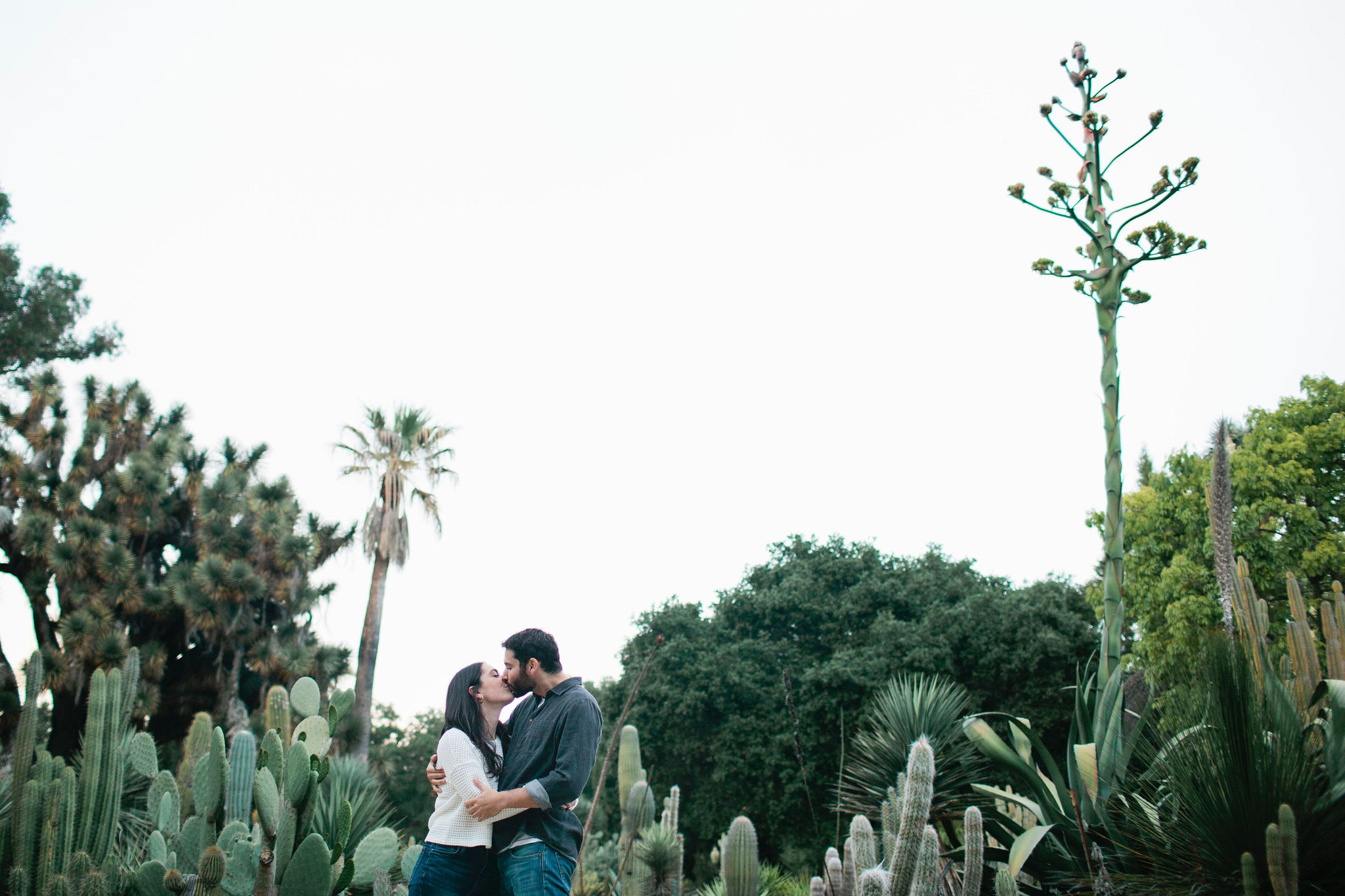 Stanford-Engagement-Photo-17.JPG