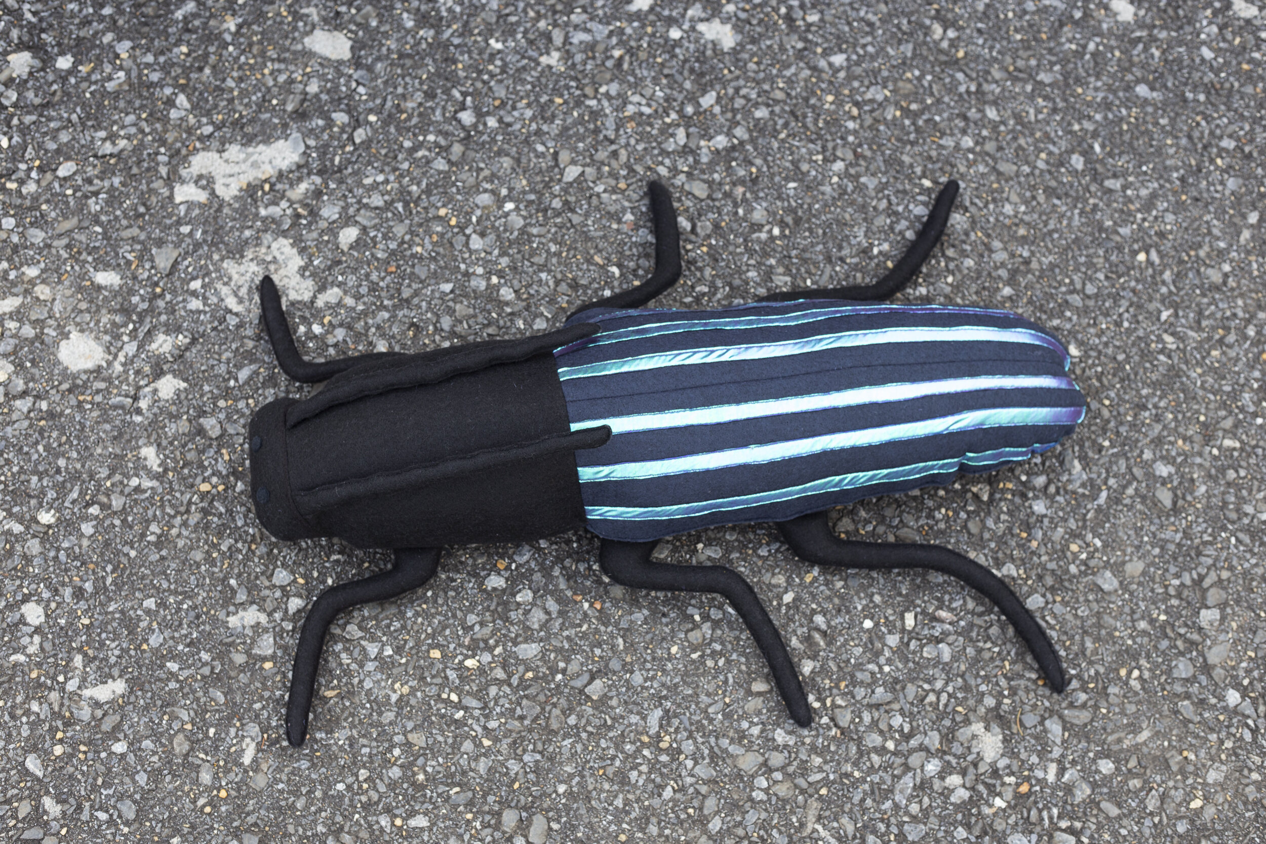 Clicker Beetle 