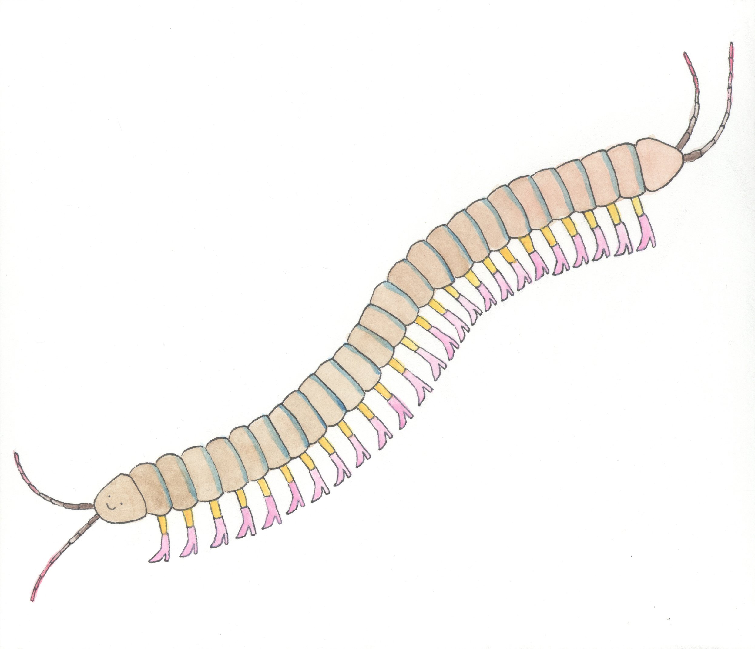 Centipede in Boots