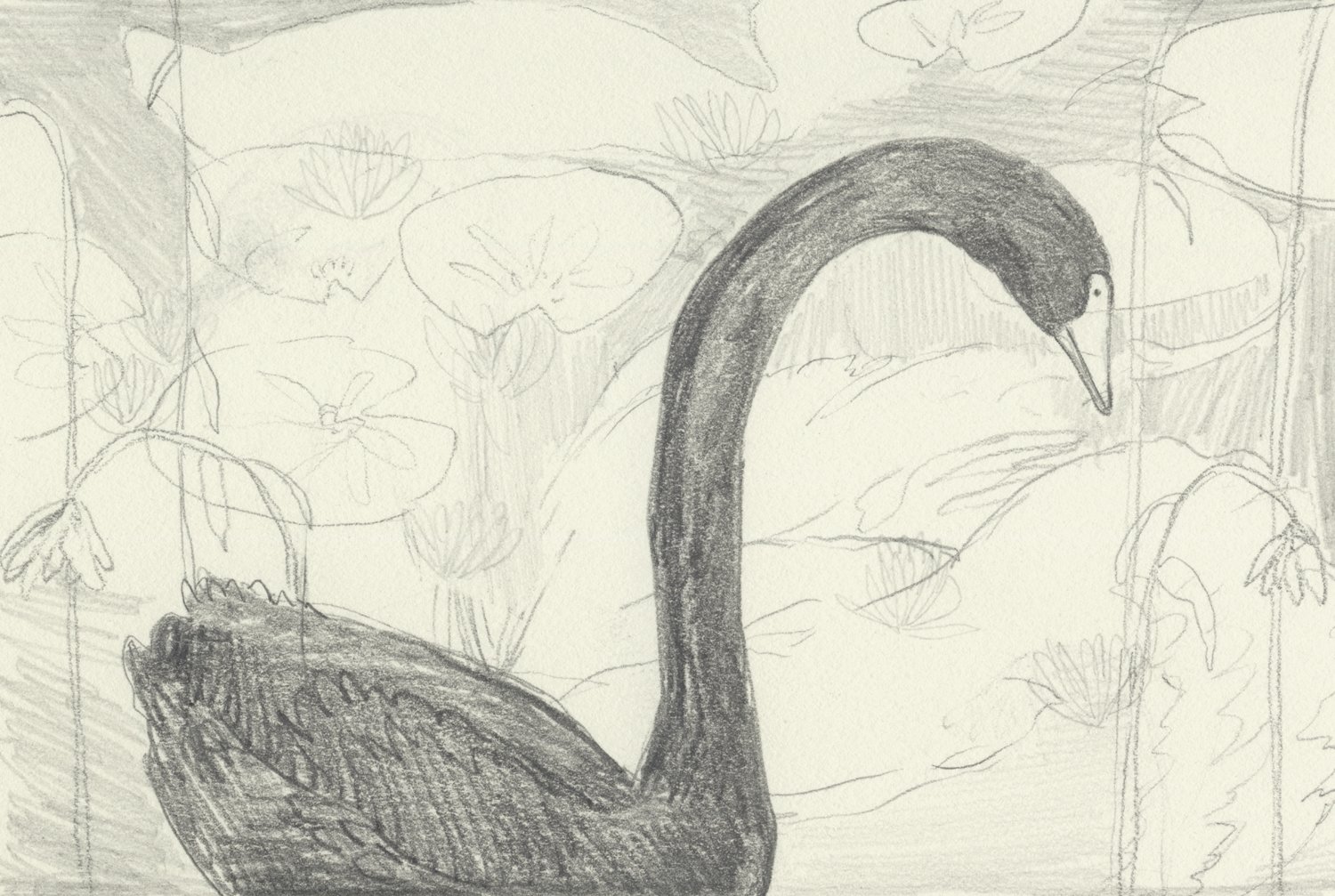 Goose
