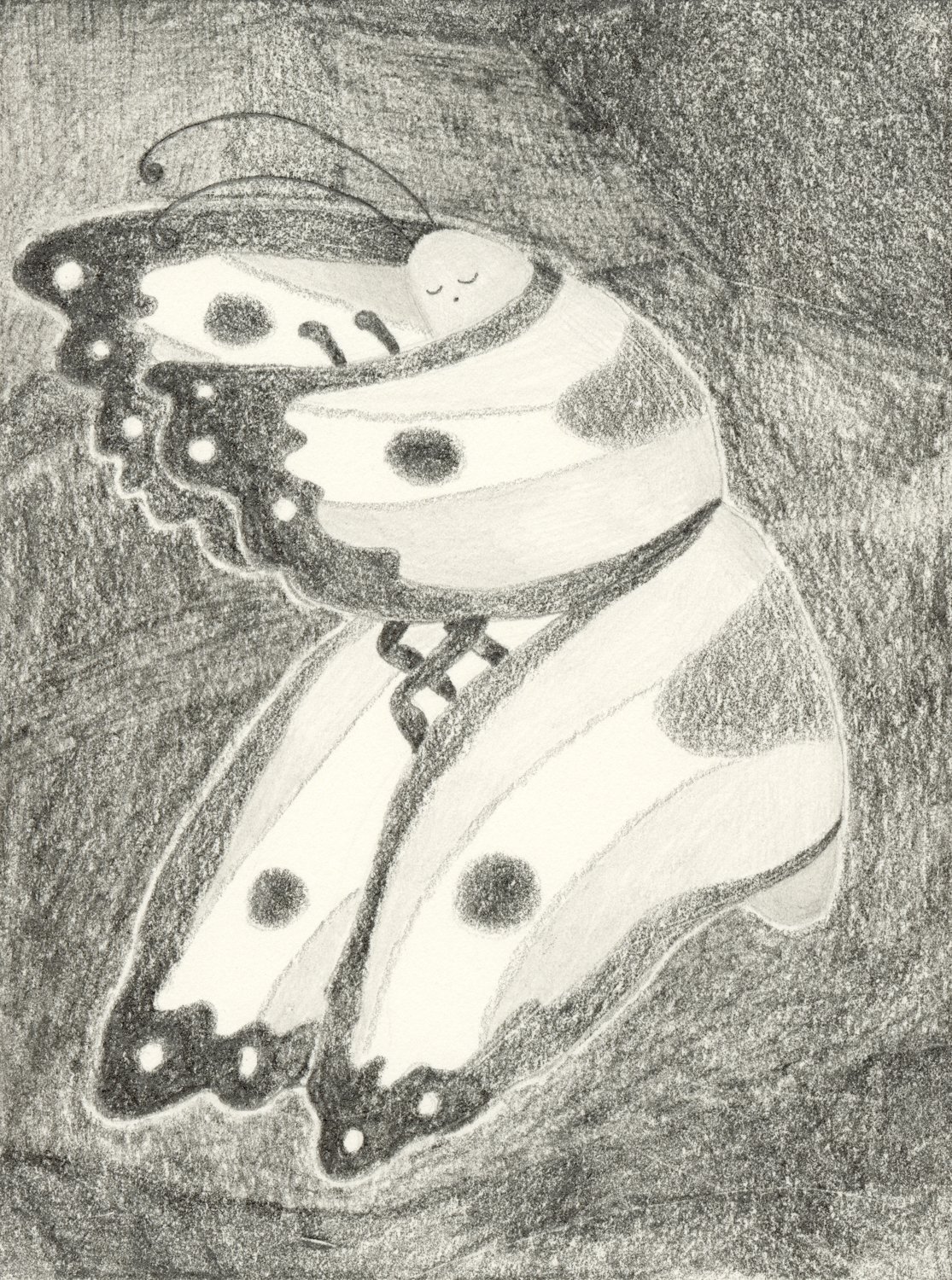 Sleeping Butterfly