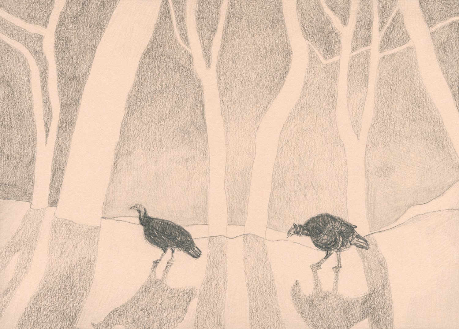 Winter Woods