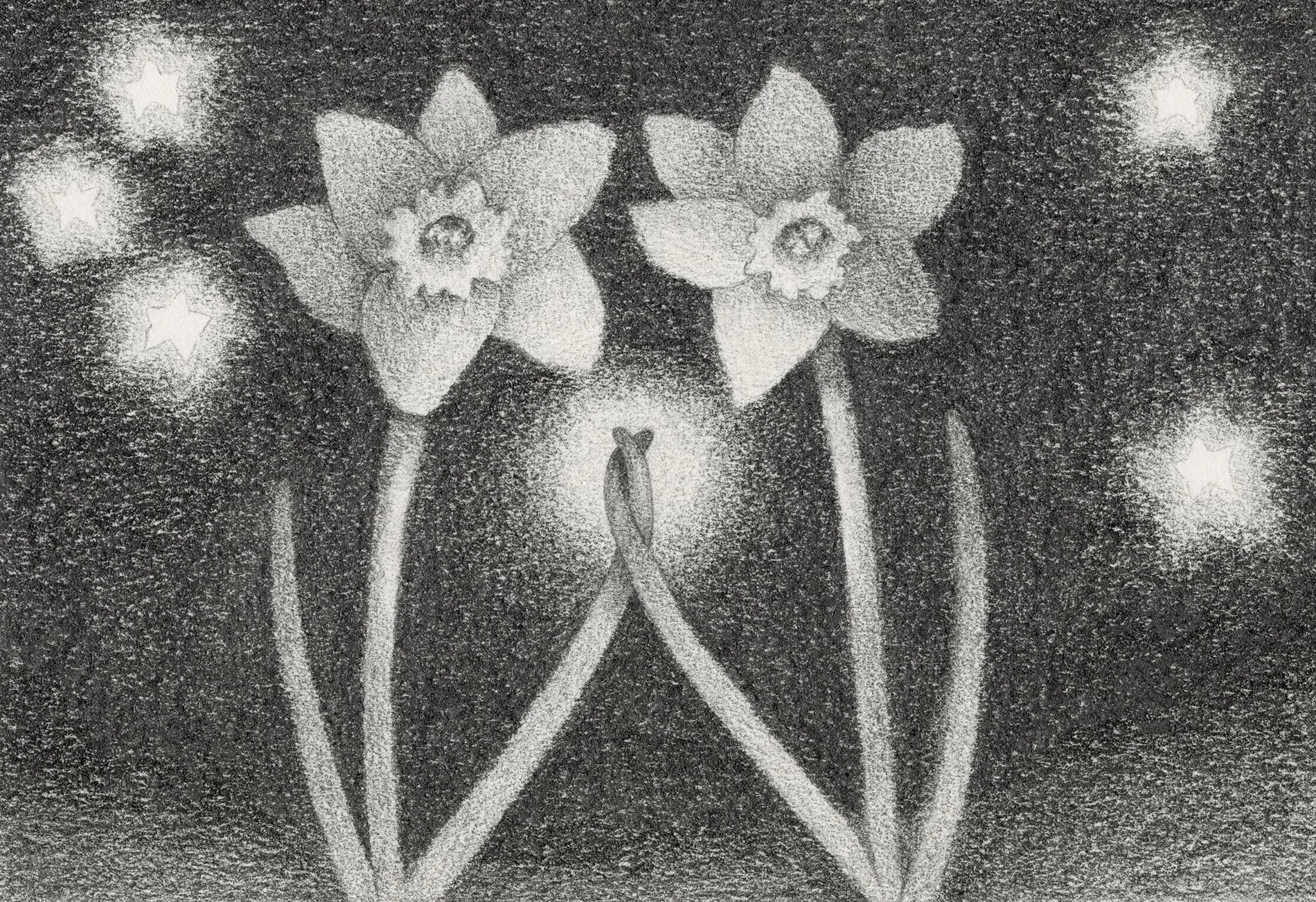 Best Friends Forever, graphite on paper, 2026
