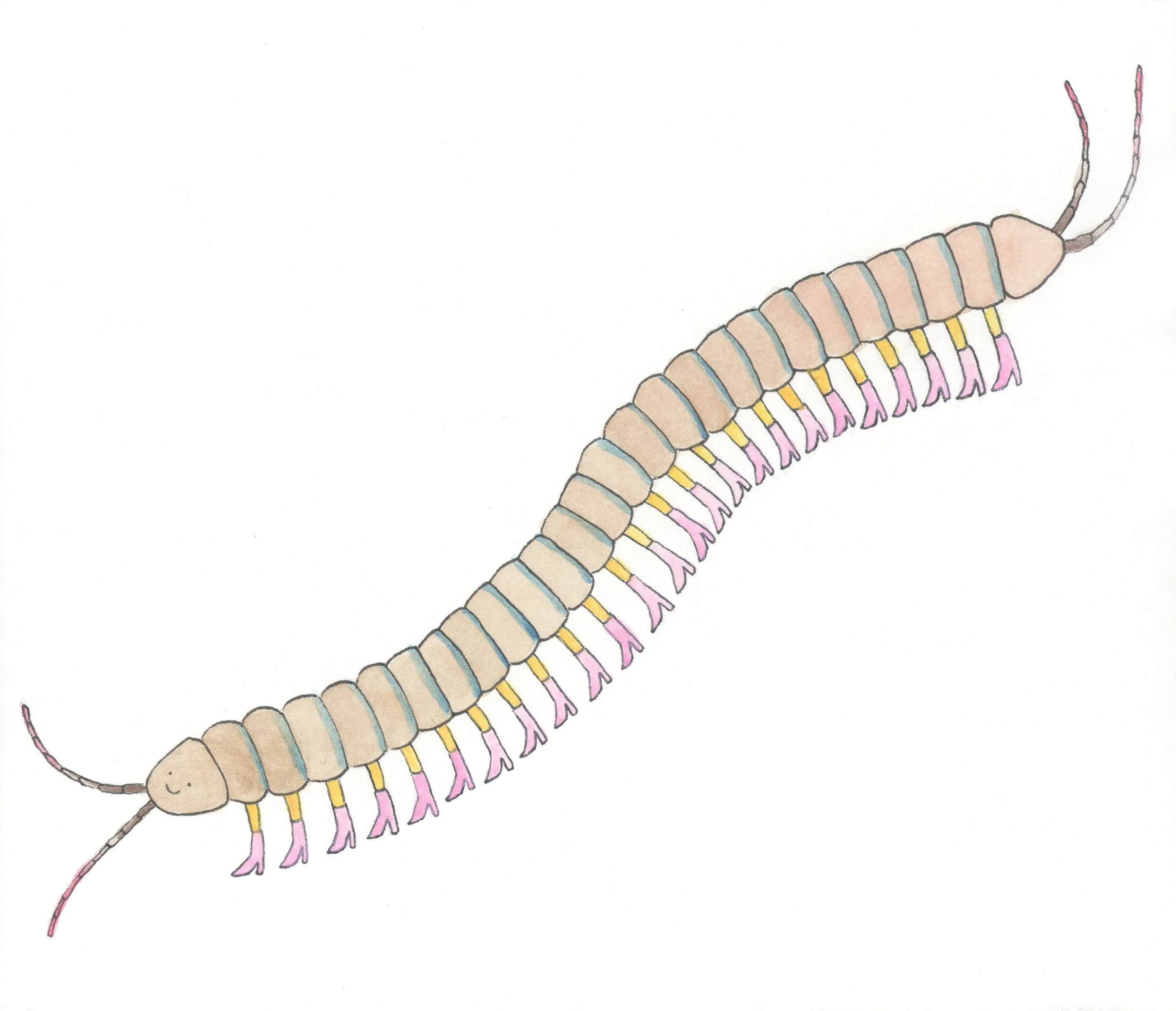 Centipede in Boots, watercolor, 2019