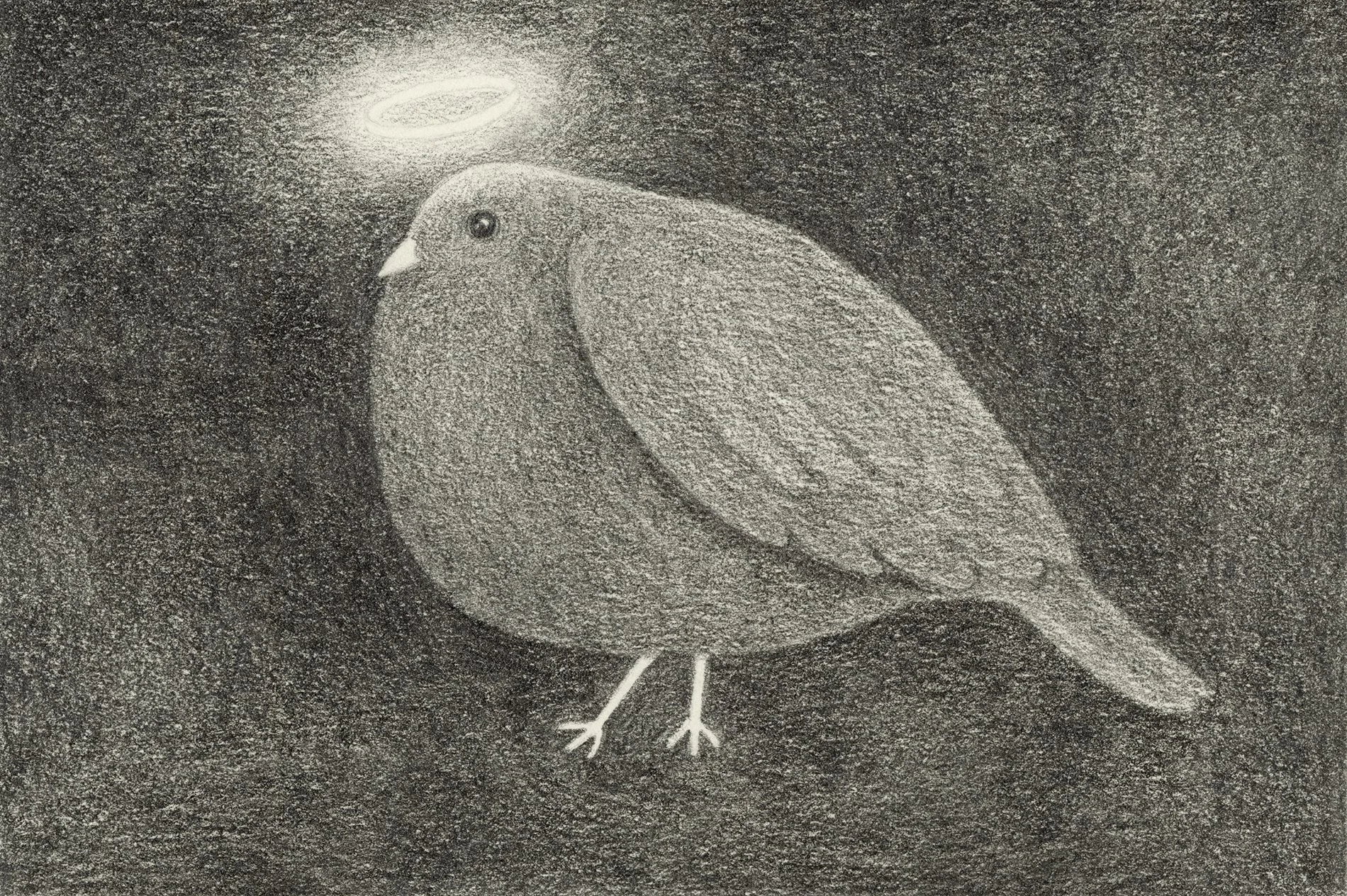 Angel, graphite on paper, 2026