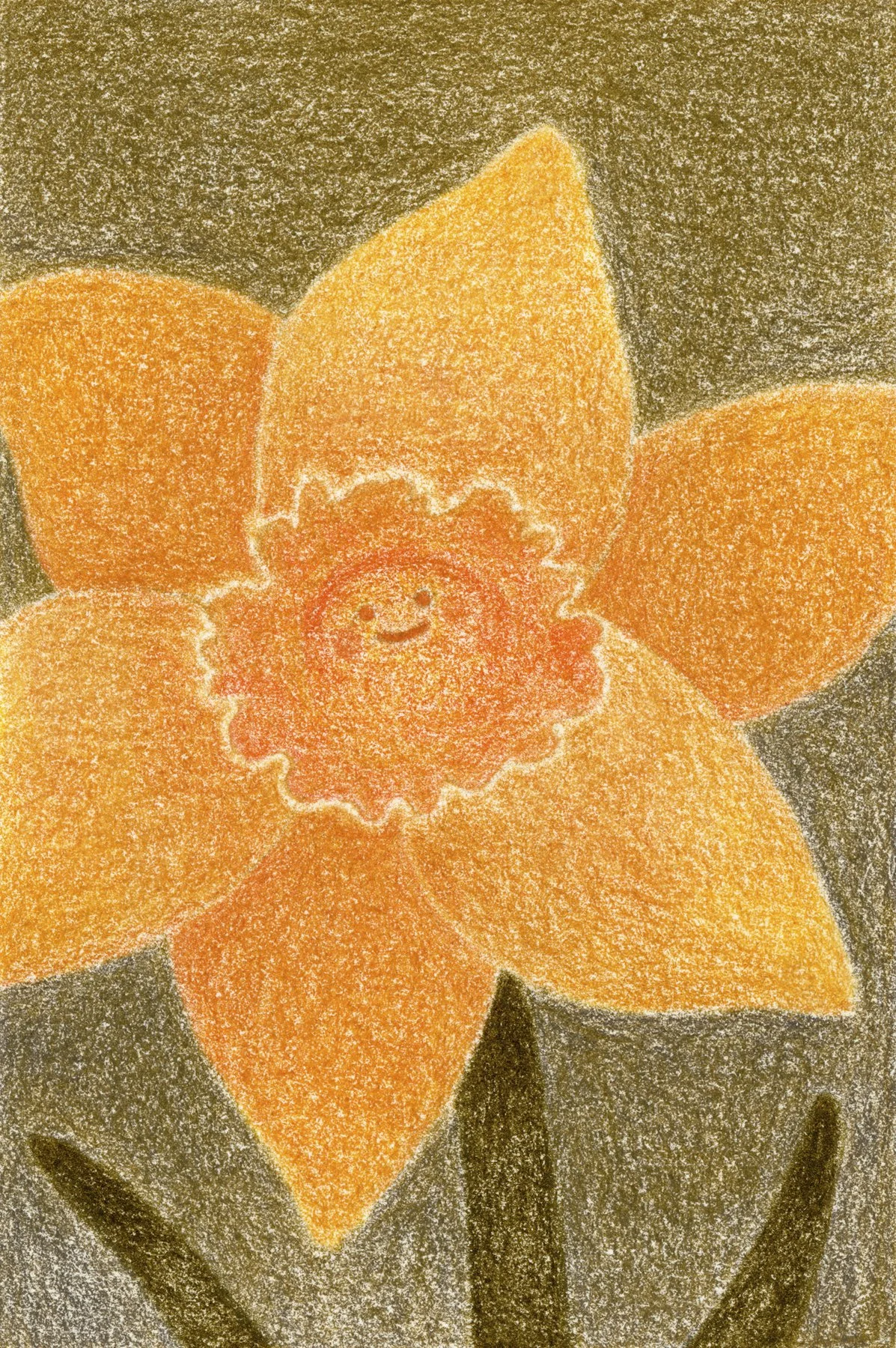 Daffodil, color pencil on paper, 2026