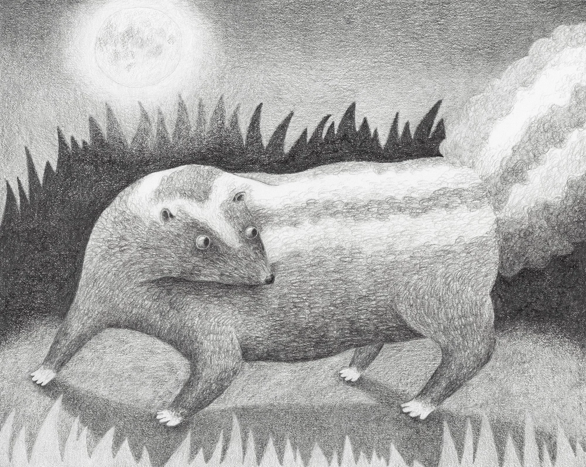 Full Moon, graphite on paper, 2026