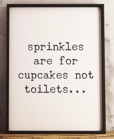 Sprinkles are for Cupcakes Not for Toilets Jan Michaels Rustic Wood Framed Art
