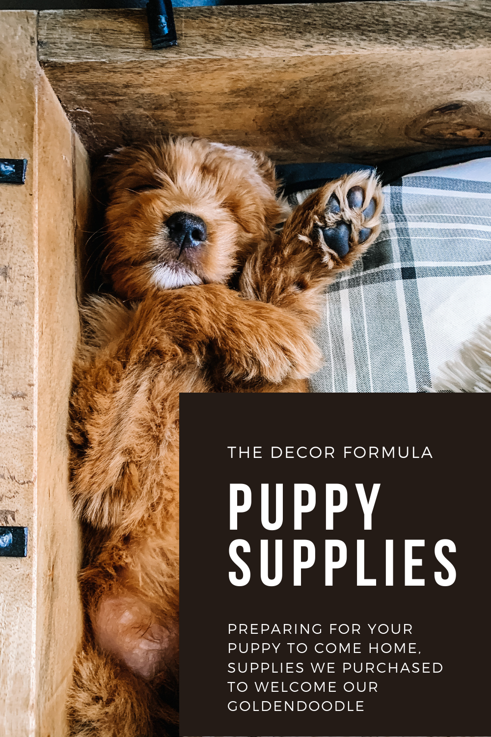 New Puppy Supplies: What You'll Need When You Bring Them Home